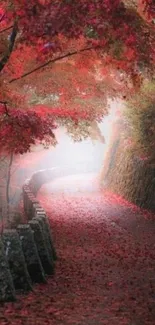 Autumn forest path with red leaves and mist.