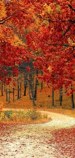 Autumn pathway in forest with red leaves.