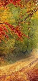 Autumn forest path with orange and yellow leaves.