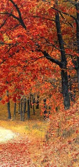 Pathway through vibrant red autumn forest with colorful leaves.