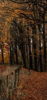 Serene autumn forest path with golden leaves and tranquil scenery.