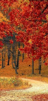 Vibrant autumn forest path with red leaves and a winding trail.