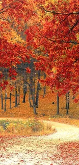 Beautiful autumn forest path with vivid orange foliage and a winding trail.