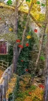 Wooden path through a vibrant autumn forest with colorful fall leaves.