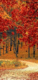 Mobile wallpaper with autumn forest path and red leaves.