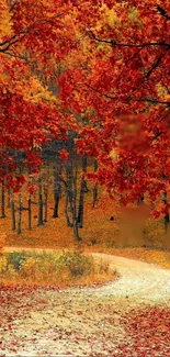 Autumn forest path with vibrant red leaves and a winding nature trail.