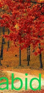 Autumn forest path with vibrant red leaves and serene atmosphere.