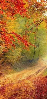 Autumn forest wallpaper with orange leaves and winding path