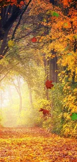 Vibrant autumn forest path with orange leaves and a serene atmosphere.