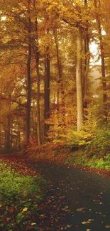 Enchanting autumn forest path with golden leaves and serene woodland trail.