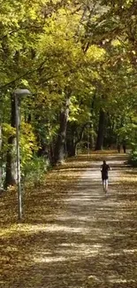 Serene autumn forest path with fallen leaves.