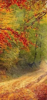 Autumn forest path with vibrant leaves and golden hues.