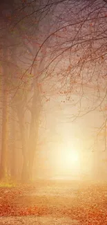 Autumn forest path with golden leaves and light.