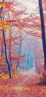 Autumn forest path with vibrant leaves.