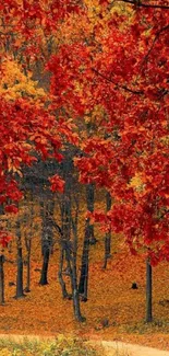 Vibrant autumn forest path with colorful leaves.