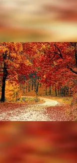 Autumn forest path with vibrant red leaves and orange hues for mobile wallpaper.