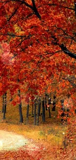 Autumn forest path with vibrant orange leaves.