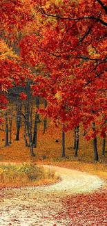 Scenic autumn forest path with vibrant red leaves.