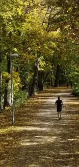 A serene autumn forest path with golden leaves and rich foliage.