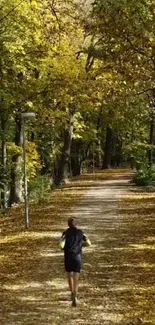 Runner on a forest path covered in autumn leaves.