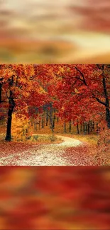 Autumn forest path with red leaves, mobile wallpaper.