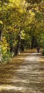 Mobile wallpaper of a serene autumn forest path with golden leaves.