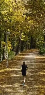 Jogging on a sunlit autumn forest path with fallen leaves.