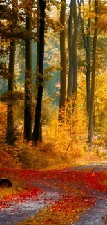 Serene forest path with vibrant autumn foliage.