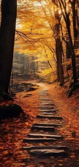 Serene autumn forest path with orange foliage and sunlit trees.