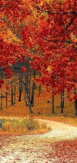 Vibrant autumn forest path with red and orange foliage.