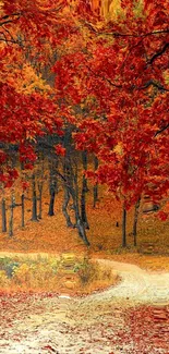 Colorful autumn forest path with red leaves.