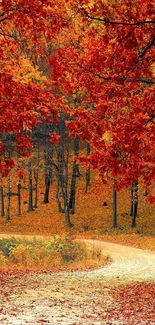 Autumn forest path with vibrant red leaves and a meandering trail.