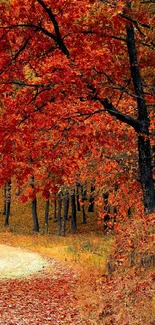 Autumn forest path lined with vibrant orange leaves.