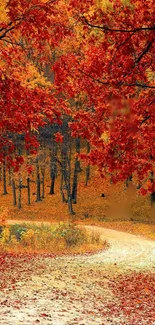 Serene autumn forest path with vibrant red and orange leaves.