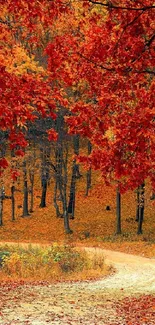 Autumn forest path with red leaves and vibrant fall colors.