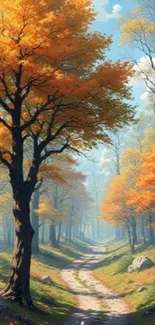 Autumn forest path with vibrant trees.