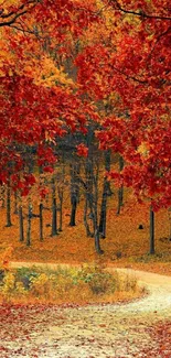 Autumn forest path with vibrant red leaves and a serene natural setting.