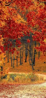 Autumn forest path with vibrant red and orange foliage, capturing fall's beauty.