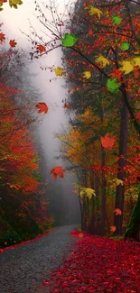 Misty autumn forest path with vibrant fall colors.