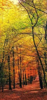 Mobile wallpaper of a vibrant autumn forest path with golden and green foliage.