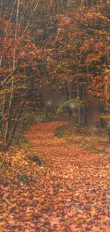 Path through autumn forest with fallen leaves.