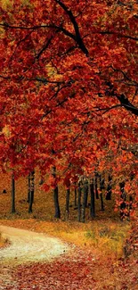 Autumn forest path with red foliage under trees.