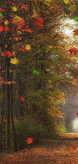 Autumn forest path with vibrant leaves and a distant figure walking.