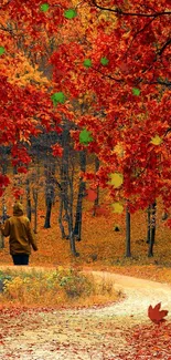 Autumn forest path with vibrant red leaves and serene trail.