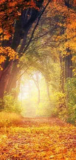 Autumn forest path with vibrant orange leaves and serene atmosphere.