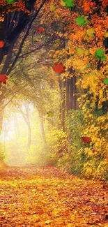 Autumn forest path with vibrant orange foliage and sunlight.