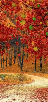 Vibrant autumn forest path with red leaves and a winding trail.