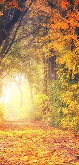 Autumn forest path with vibrant orange leaves.