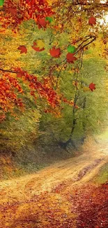 Vibrant autumn forest path with colorful leaves and serene scenery.