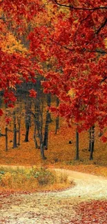 Vibrant red leaves over a forest path in autumn.